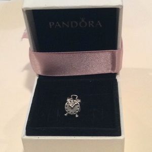 Pandora Charm 100% Authentic